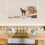 Semesterbostad Hoferhof -dachstein *