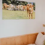 Hoferhof -dachstein *