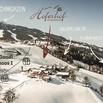 Hoferhof -dachstein בית נופש שלאדמינג