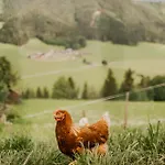 Σπίτι διακοπών Hoferhof -dachstein Schladming