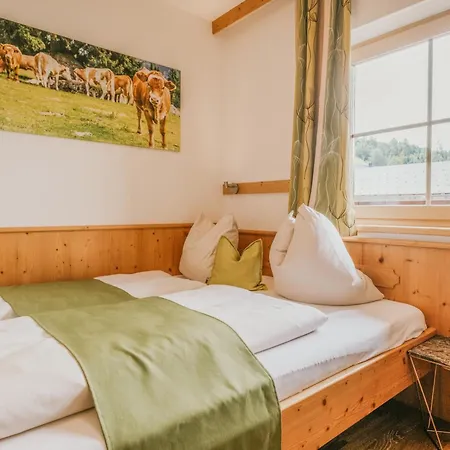 Prázdninový dům Hoferhof -dachstein *