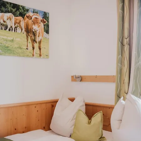 Hoferhof -dachstein שלאדמינג