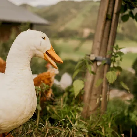 Hoferhof Schladming -Dachstein