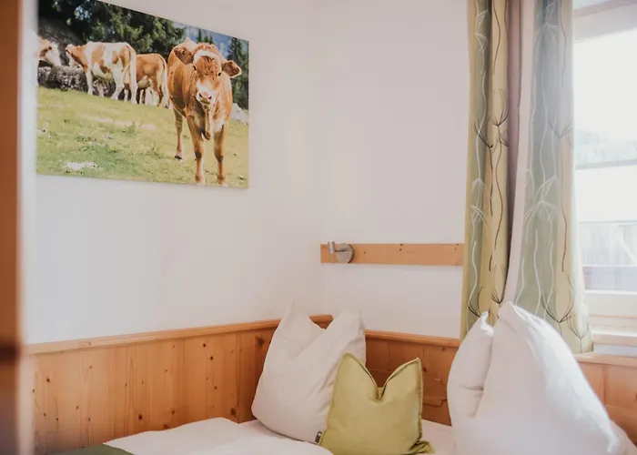 Hoferhof -dachstein שלאדמינג