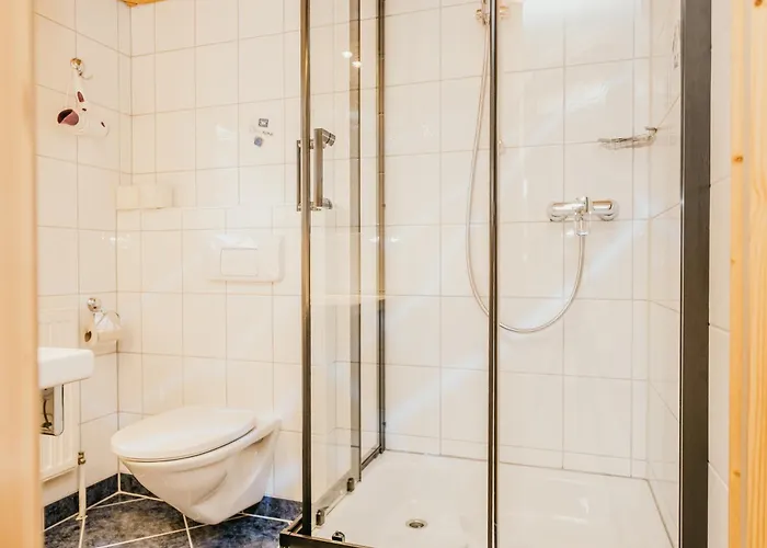 Hoferhof Schladming -Dachstein Holiday home *