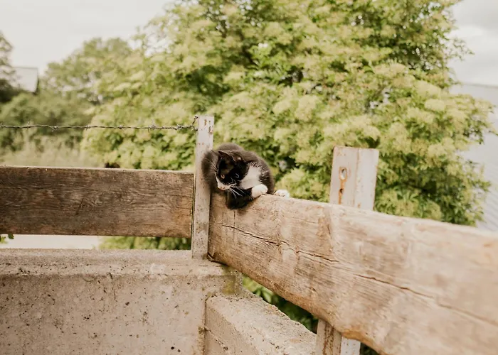 Hoferhof Schladming -Dachstein Holiday home