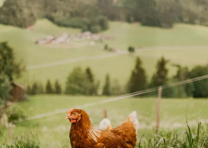 בית נופש Hoferhof -dachstein שלאדמינג