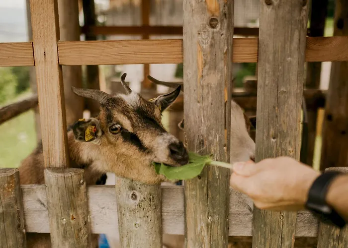 Hoferhof Schladming -Dachstein Holiday home Schladming