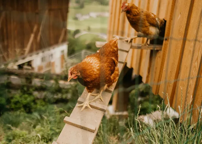 Hoferhof -dachstein *